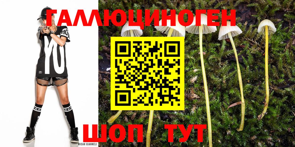 Галлюциногенные грибы Psilocybine cubensis  Вход с VPN  Ковров 