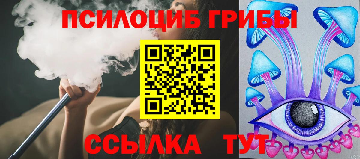 Псилоцибиновые грибы Psilocybine cubensis Ковров